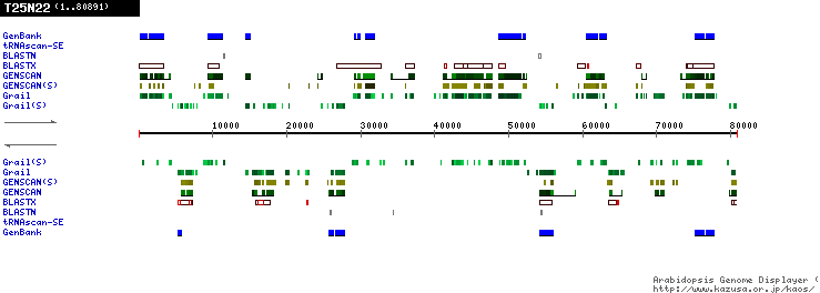 [Image of T25N22]