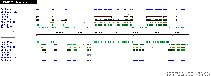 [Image of T26B15]