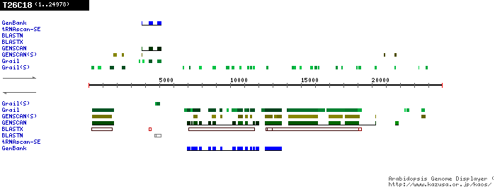 [Image of T26C18]