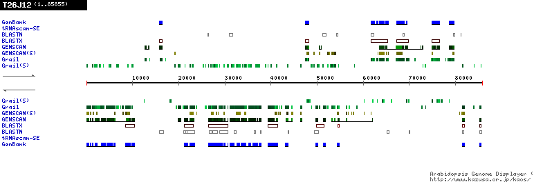 [Image of T26J12]