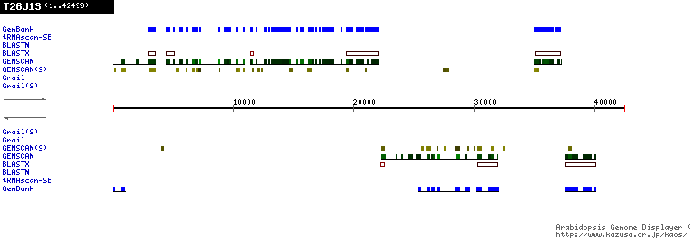 [Image of T26J13]