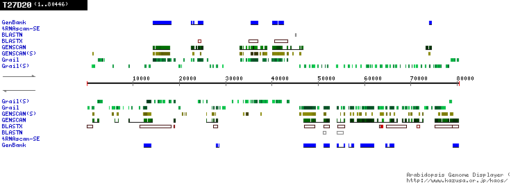 [Image of T27D20]