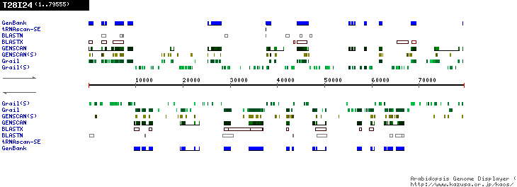 [Image of T28I24]