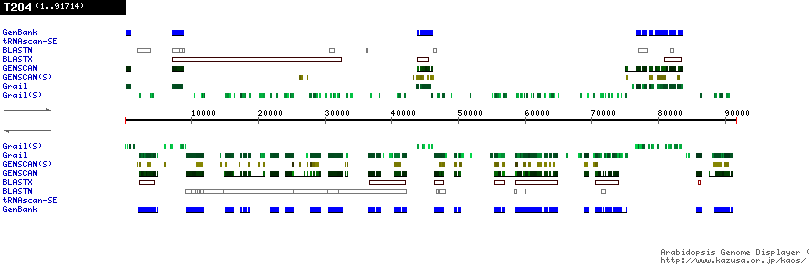 [Image of T2O4]