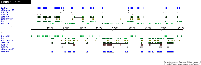 [Image of T30D6]