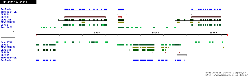 [Image of T31J12]