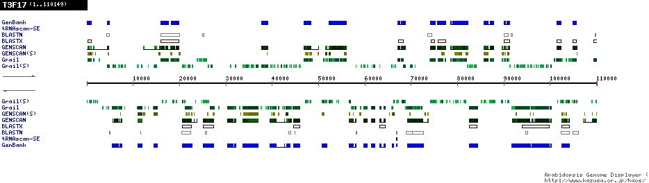 [Image of T3F17]