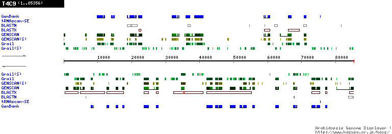 [Image of T4C9]