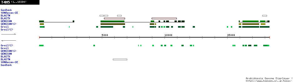 [Image of T4M5]