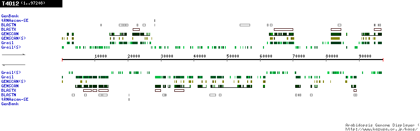 [Image of T4O12]