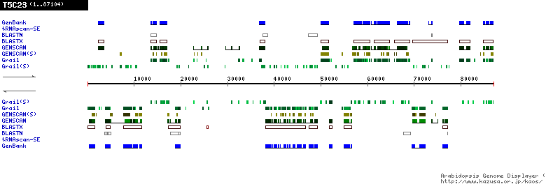 [Image of T5C23]