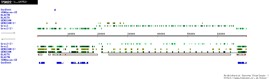 [Image of T5H22]