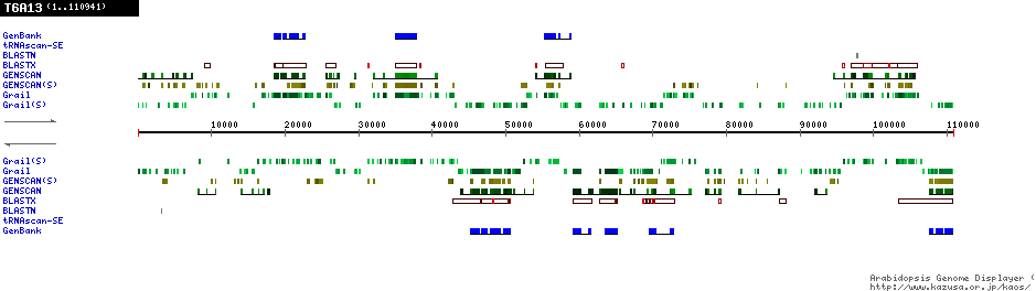 [Image of T6A13]