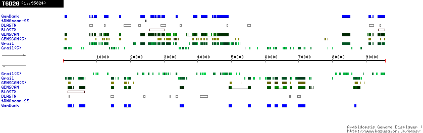 [Image of T6D20]