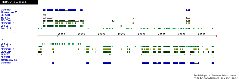 [Image of T6K22]