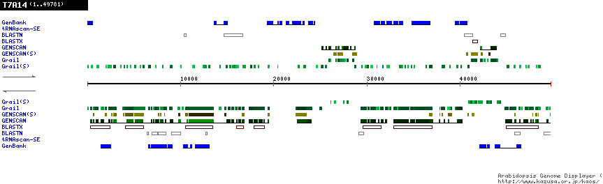 [Image of T7A14]