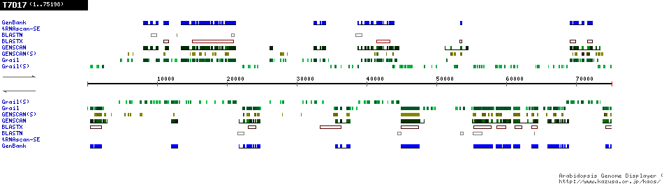 [Image of T7D17]