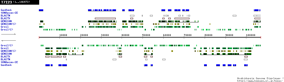 [Image of T7I23]