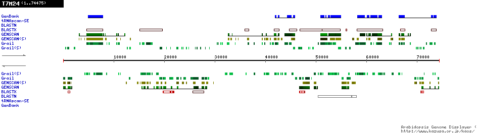 [Image of T7M24]