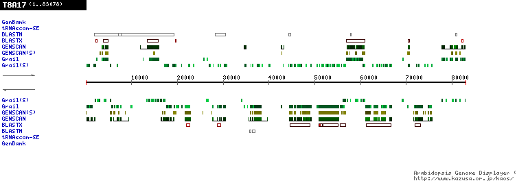 [Image of T8A17]