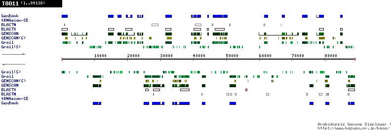 [Image of T8O11]