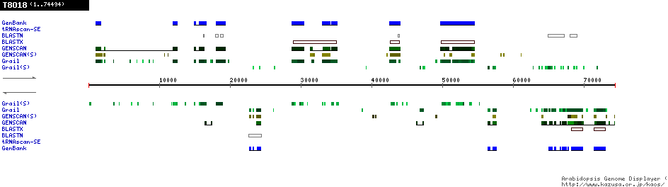 [Image of T8O18]