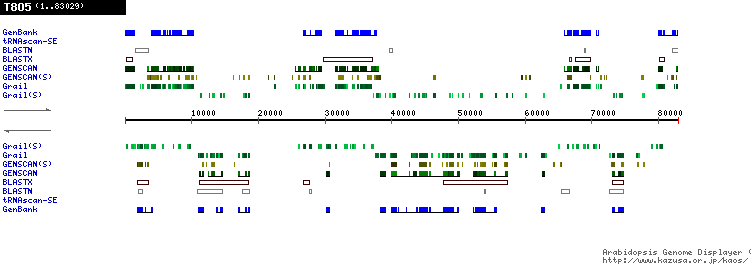 [Image of T8O5]