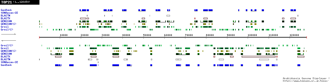 [Image of T8P21]