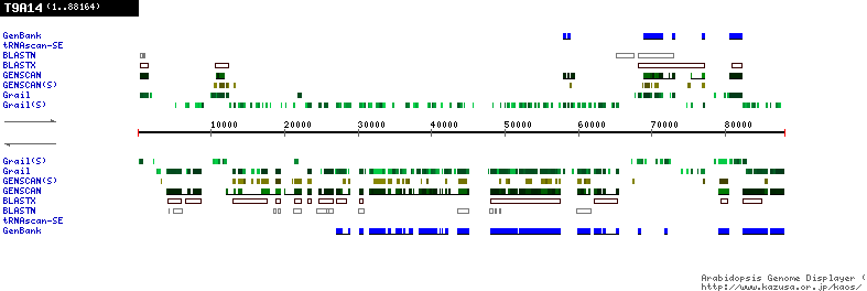 [Image of T9A14]