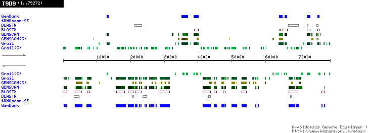 [Image of T9D9]