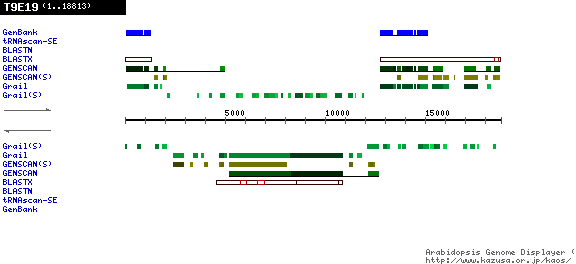 [Image of T9E19]