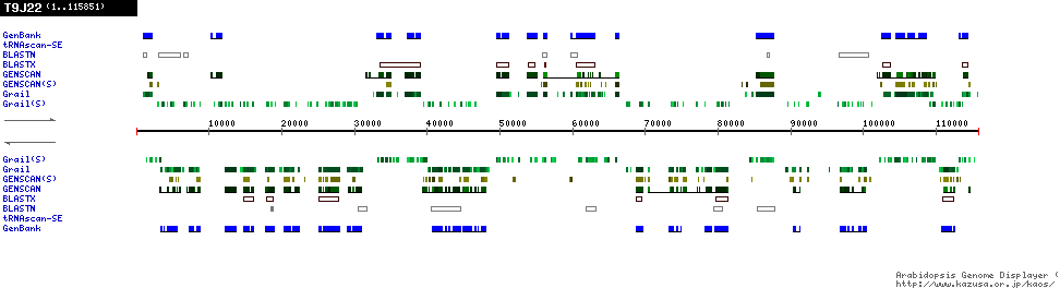 [Image of T9J22]