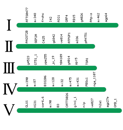 Clickable map to: chr1/, chr2/, ... chr5/