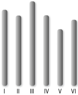 chromosome