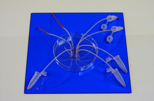 A prototype of a blood-separating chip