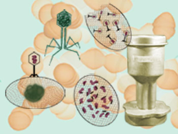 細菌やウイルスも DNA を持っています。