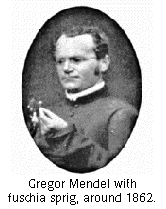 Johann Gregor Mendel