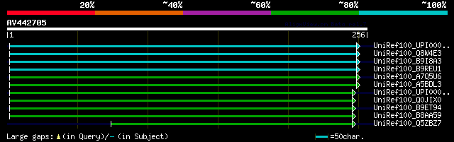 alignment