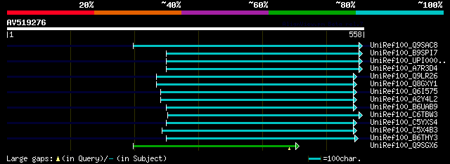 alignment