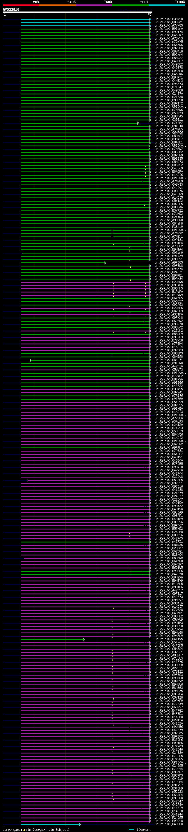 alignment