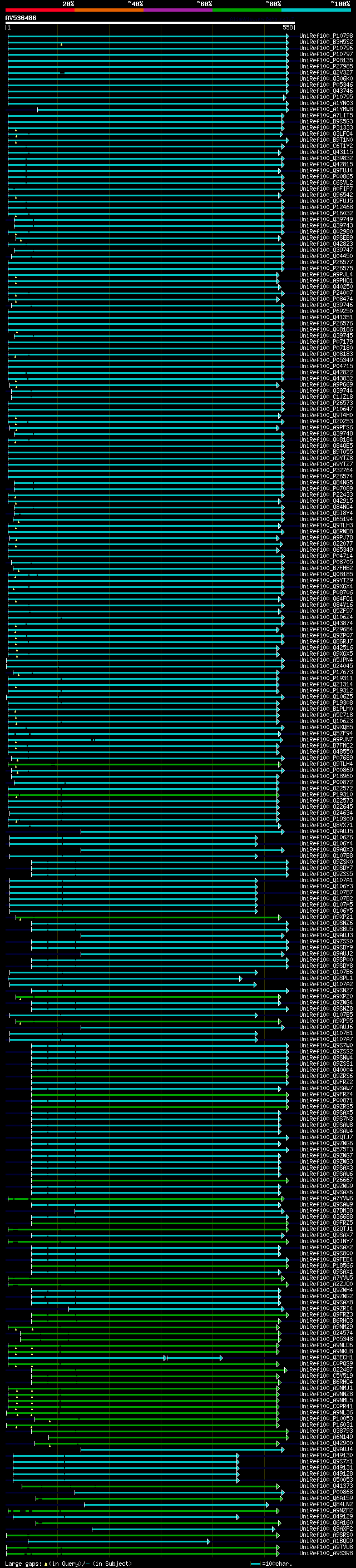 alignment