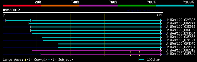 alignment