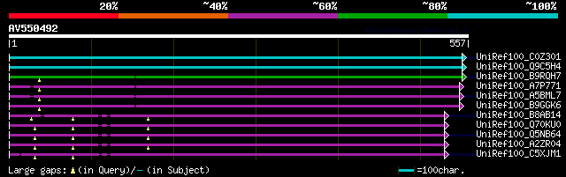 alignment