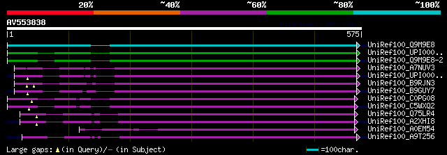 alignment