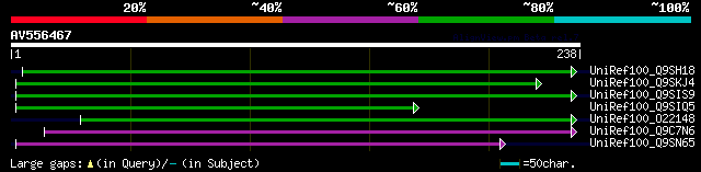 alignment