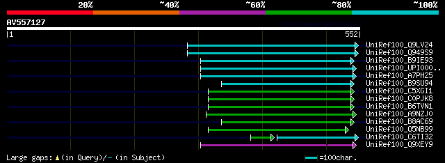 alignment