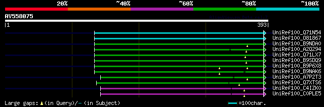 alignment