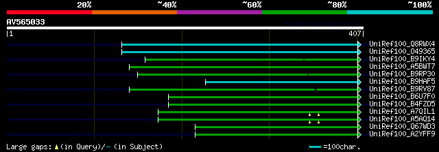 alignment