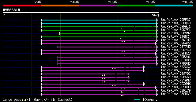 alignment