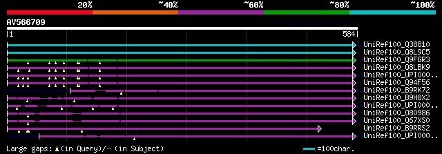 alignment